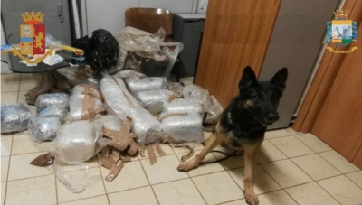 Shkatërrohen 3 organizata kriminale në Itali: kapoja shqiptar drejtonte 'ballkanasit' nga një fermë