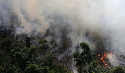 Amazona po digjet: E gjitha kjo, skenar i OJQ-ve?