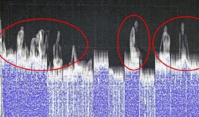 Përse udhëtimi me kamion drejt Anglisë është vetëvrasje