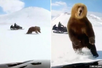 Video/ Provokojnë ariun me motoslitë, por… reagimi i kafshës është pothuajse vdekjeprurës