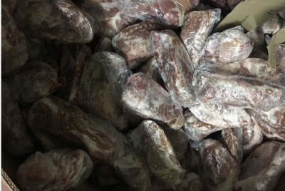 Ndalohet futja në Shqipëri e 387 ton mish , AKU: I pasigurtë