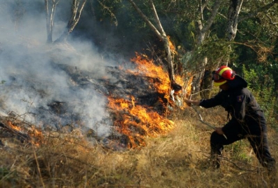 Ende pa marrë veten nga tragjedia, shpërthen zjarri në një tjetër fshat grek