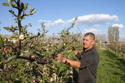 Financimi i fermave shqiptare – zgjidhja e duhur për rritjen ekonomike