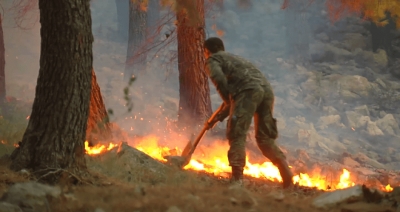 Situatë emergjente/ As shtatori nuk i ndal zjarret, flakët përfshijnë pyjet e Tiranës e Fierit