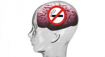 ​Pirja e duhanit ka ndikim edhe në tru