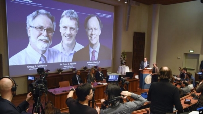 Tre shkencëtarë nderohen me çmimin Nobel në mjekësi