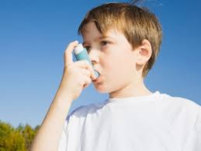 Numri i të prekurve nga astma në nivele alarmante, shkak ndotja e ajrit