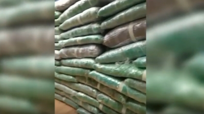 1 ton drogë, identifikohen 4 shqiptarët e arrestuar në Greqi