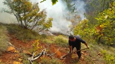Përfshihen nga zjarri 50 ha pyll në Bulqizë, zjarrfikësit dhe shërbimi pyjor luftë me flakët