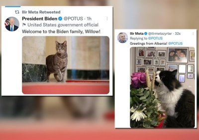 'Përshëndetje nga Shqipëria'/ Presidenti Meta komenton në postimin e Joe Biden, publikon foton e maces së tij Sasha