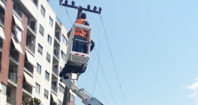 Punimet në rrjet/ Ja zonat në Tiranë pa energji, oraret dhe datat