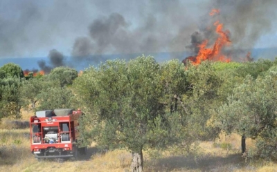 Greqia nën tjetër ‘sulm’ zjarresh, evakuohen fshatrat në Korfuz