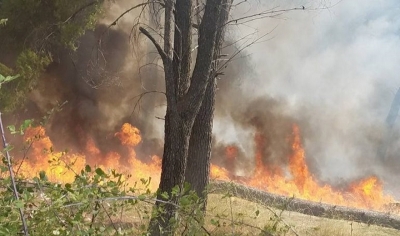 Zjarri përfshin ‘Gështenjat’ në Devoll, banorët ndihmojnë zjarrfikësit