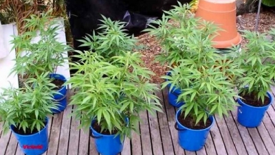 I duheshin para për nënën e sëmurë në Shqipëri, ja belaja që e gjen shqiptarin në Angli