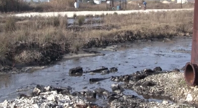 40 vite tmerr, bomba ekologjike e Marinzës