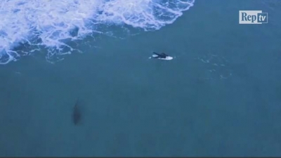 Video/ Australi, peshkaqeni pak metra nga serfisti, pamjet kapen nga droni