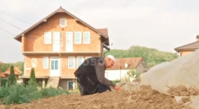 103 vjeçari nga Krusha e Madhe që punon bahçen