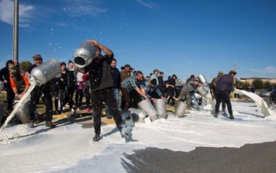 Rikthehen protestat në Tiranë, fermerët e Myzeqesë zbarkojnë në kryeqytet