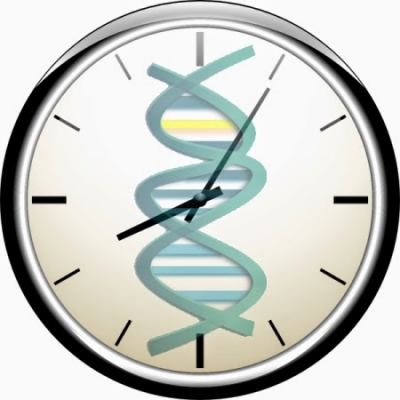 Ora molekulare rishkruan kronologjinë e jetës