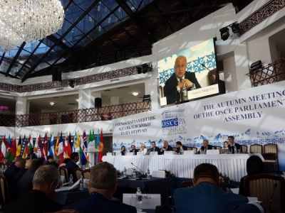 Mediu në Asamblenë e OSBE: Ballkani ka  probleme
