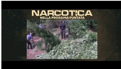 VIDEO/ 'Narcotica', Televizioni publik italian dokumentar për Shqipërinë: Kopshti i Kanabisit në Europën Juglindore