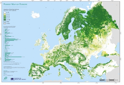 Shqipëria, ndër vendet me më pak pyje në Evropë