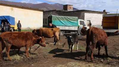 Kukës/ Tregu i gjësë së gjallë i boshatisur