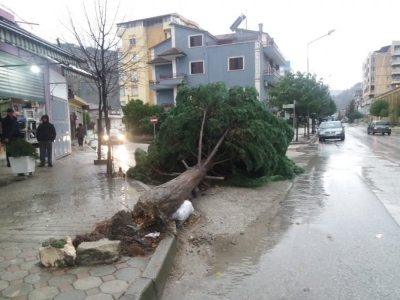 FOTO/ Stuhia mbërthen Beratin! Pemë të rrëzuara dhe rrugë të përmbytura