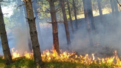 Video/ ‘Zjarr në Spille, helikopterët përdoren nga ndrikull Xhaçka në takime partiake’