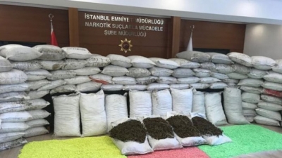 Ish-zyrtari i Policisë: Si investoi Rilindja në farën speciale të hashashit